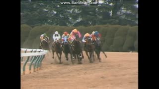 1988. 3. 6  ペガサスS (GIII)　オグリキャップ