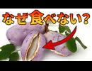 アメリカで急増中のアケビが食べられていない理由【解説動画】