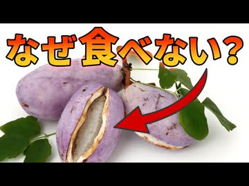 アメリカで急増中のアケビが食べられていない理由【解説動画】