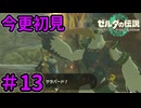 シロツメ新聞社の新人記者【ゼルダの伝説 ティアーズ オブ ザ キングダム】Part13