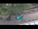 Smashing globos