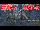 歴戦具合ではこっちも負けてねえぞ【モンハンワイルズ】