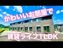 ペット可 小型犬・猫飼育可能１LDKアパート シンフォニーⅣ 岡山市北区御津宇垣