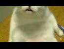 copy_D051C77D-245E-4B4A-BC76-8C261F32AD7E