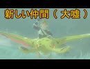 【ティアキン】依頼を受けて、眠ろうとするカックーダがおかしくなるのを確認してみた【ドリカラ】【ボイスピ実況,ゼルダの伝説,ティアーズオブザキングダム,TotK,バグ,検証 】