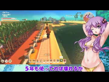 時間が溶けると噂のDinkum五年目夏の１８日