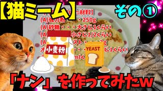 【猫ミーム】 お米が高いので美味しい「ナン」を作ってみたｗ