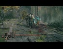 二人で操作を分けてエルデンリング#7