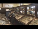 貴重な標本を公開「博物の森で遊ぼう」