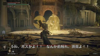 【初見】エルデンリングに挑んでみた【第49話】