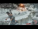 荒れ果てた世界を生き延びろ。【DAYS GONE実況part46】
