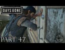 荒れ果てた世界を生き延びろ。【DAYS GONE実況part47】