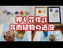 押し花作りと多肉植物の近況