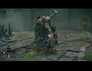 二人で操作を分けてエルデンリング#8
