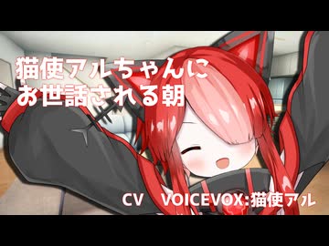 猫使アルちゃんにお世話される朝