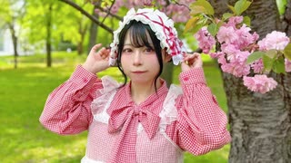 【前ちゃん。】君にだけバレて欲しいな【踊ってみた】