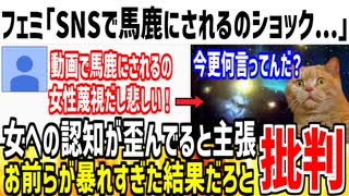 【残当】ツイフェミ「私達がネットで馬鹿にされてる！ショック！」→被害者面すんなと大量に批判されてしまうwww