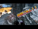 dbd　仲間ごめん！