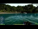 【UFS】ピナス湾（陸）で１時間釣る！！＃６【究極の釣りシミュレーション】