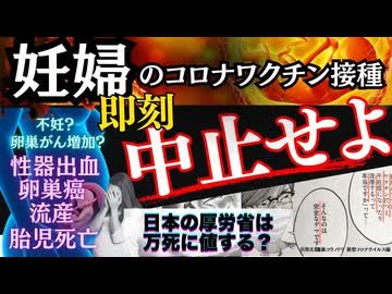 妊婦へのコロナ○クチンは即時中止せよ！日本の厚労省、産婦人科学会、無責任にワクチンを推奨した医師を許してはいけない！被害実態と不妊リスクの機序をわかりやすく解説しました。