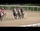 連敗記録は１１４に…「ハルウララ」の記録を更新　佐賀競馬場「パドマーワト」