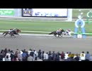 第50回シアンモア記念（クリソベリル賞） ヒロシクン