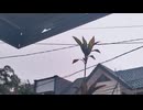 風だけが友達 (feat. Hatsune Miku) [Original Song]