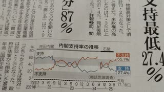 政策投票と、政策実行議員への変革。【特化型国会議員制度】へ。1000003130