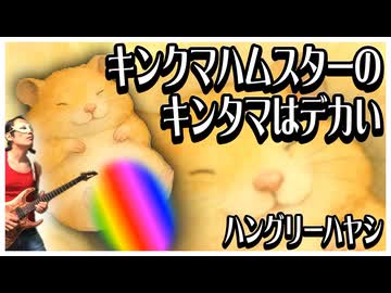 【off vocal】ハングリーハヤシ - キンクマハムスターのキンタマはデカい