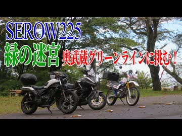 【ななまる日記】セロー225　緑の迷宮奥武蔵グリーンラインに挑む