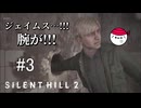 【サイレントヒル2 / SILENT HILL 2 実況】何が出るかな？ミステリーホール。#3【ネタバレ注意】