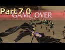 【ファイアーエムブレム無双】【リョナ】【カミラ】 ３０秒リョナPart７０