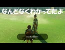 #193【ゼルダの伝説 ティアーズ オブ ザ キングダム】いざなう女の正体！