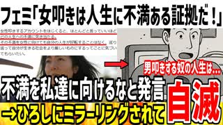 【ブーメラン】フェミ「私達を批判する人は人生に不満ある男ばっか！」→ミラーリングひろしに論破されてしまう...