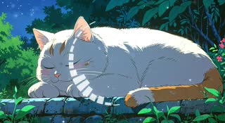Lo-Fi BGM｜Rain falling in the crevices of the heart｜心の隙間に降る雨