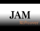 【ボカロCover】JAM / THE YELLOW MONKEY - クリオネリマキナfeat.知声