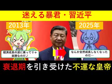 【ずんだもん歴史解説】苦闘する皇帝・習近平 ～進む個人崇拝と忍び寄る衰退～【中国現代史⑧（完）】