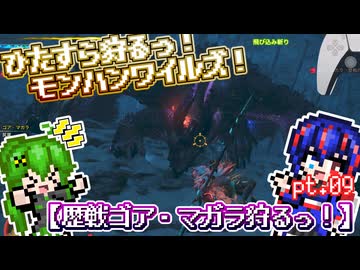 【ゆっくり実況】歴戦ゴア・マガラ狩るっ！【ひたすら狩るっ！モンハンワイルズ！】pt.09