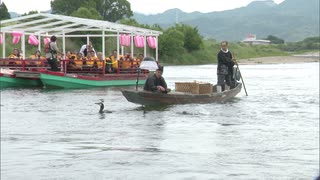 筑後川に初夏の訪れ「アユ漁」解禁　伝統漁法「鵜飼い」始まる　福岡県朝倉市
