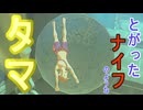 【ブレワイ】依頼を受けて、ちょっと転がしただけでダメージ判定のあるタマで遊んでみた【ドリカラ】【ボイスピ実況,ゼルダの伝説,ブレスオブザワイルド,BotW,バグ,検証 】