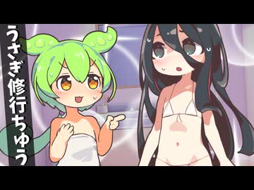 うさぎちゃんは修行中【ソフトウェアトーク劇場】