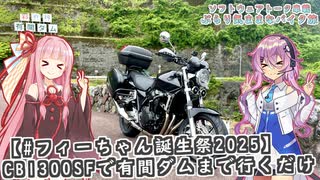 【ソフトウェアトーク車載 ぶらり気ままなバイク旅】【#フィーちゃん誕生祭2025】CB1300SFで有間ダムまで行くだけ