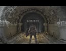 二人で操作を分けてエルデンリング#9