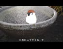 政治家だけじゃない！外国人技能実習生受け入れに絡む民間の〇接待の闇