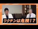 レプリコンワクチンの安全性と有効性は　科学的根拠となる論文を紹介　殺人企業の明治製菓ファルマが弾圧したがる動画です