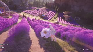 紫のお花の町！キレイだった！【インフィニティニキ】