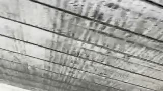 76958622780__C310CC18-F5E3-49E0-8C4E-566E2AB37AAB