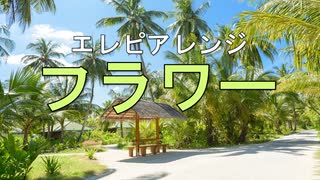 エレピアレンジ『フラワー』