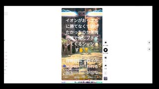 戦場の竜巻ワルサーさんが八つ当たりされてしまう