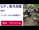 Xディ野犬対策　何頭? リーダー　ボスの位置は?